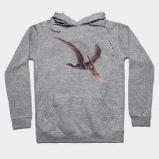 Pterodactyl Hoodie